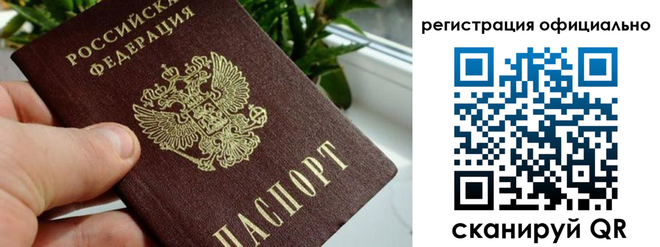 прописка законно в Орле